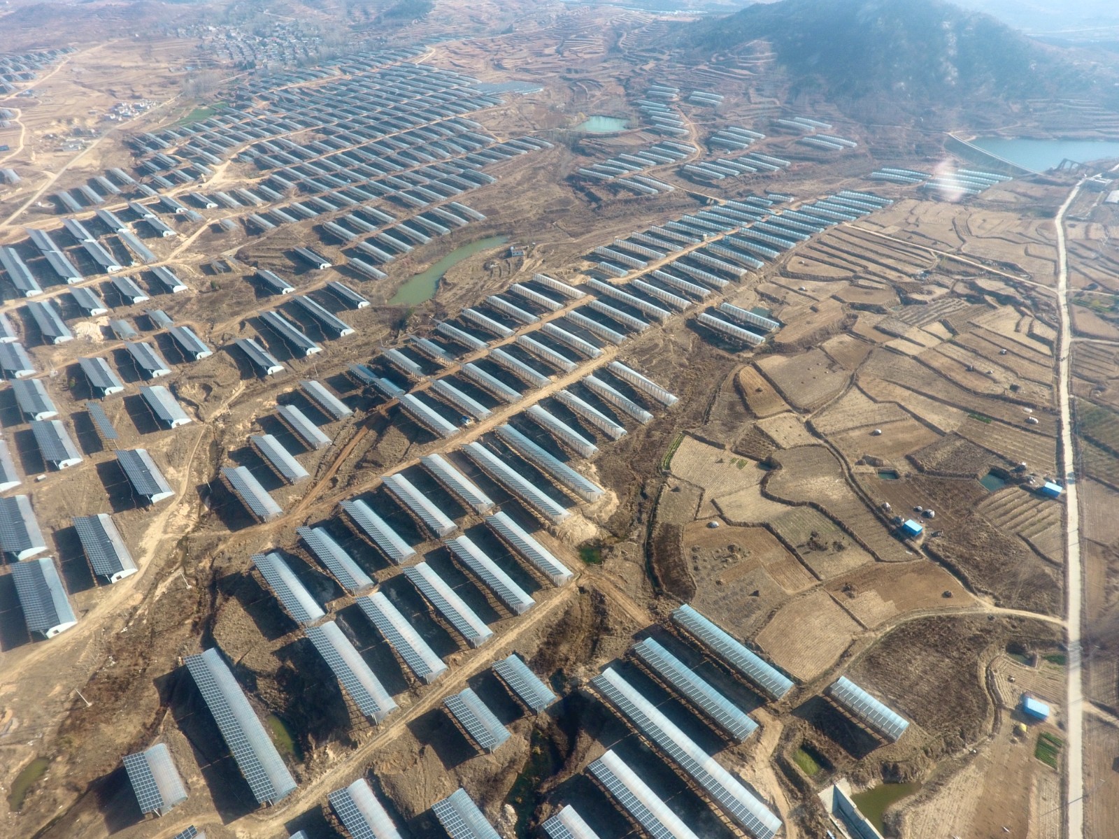 Shandong Announced Its 10.51 GW of PV Market-oriented Size: Jinko Power Won 450 MW!
